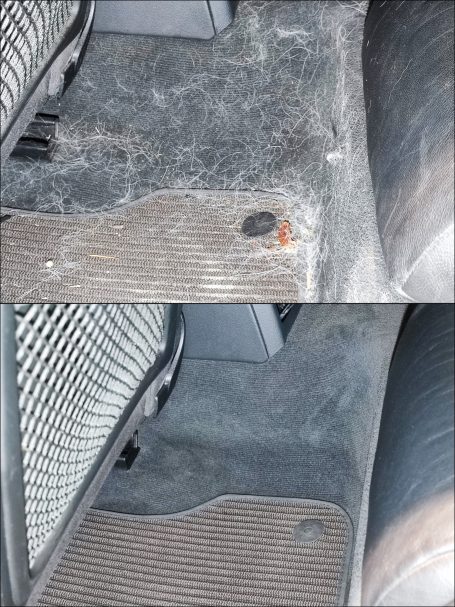 Nettoyage intérieur poil de chien voiture à Chateaubourg